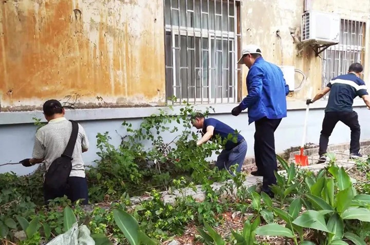 集团机关党委、老干党委开展党员自愿服务活动