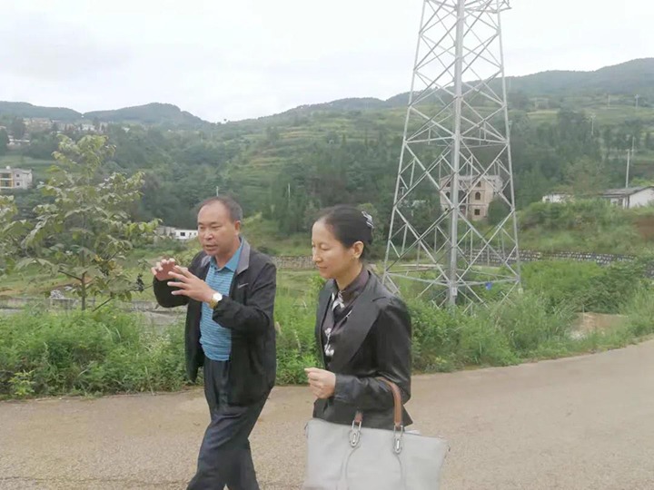 集团党委委员、、、财务总监莫晓丹一行到羊场口煤业温顺源煤矿开展煤矿项目建设事情专项调研