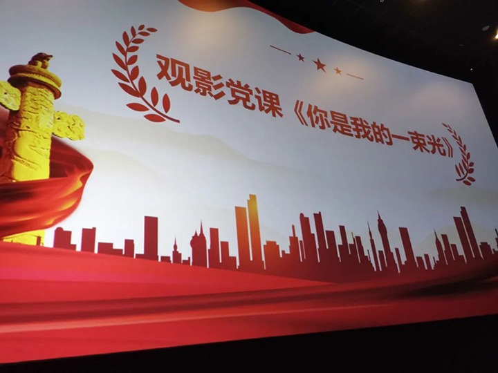 云南石油化学工业供销有限公司党委组织开展影戏党课活动