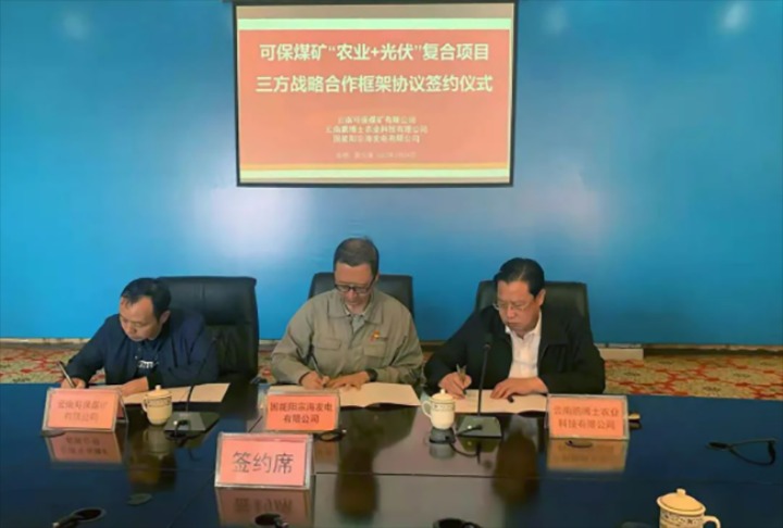 云南可保煤矿有限公司与国能阳宗海发电有限公司、、、云南鹏博士农业科技有限公司签署三方战略相助框架协议