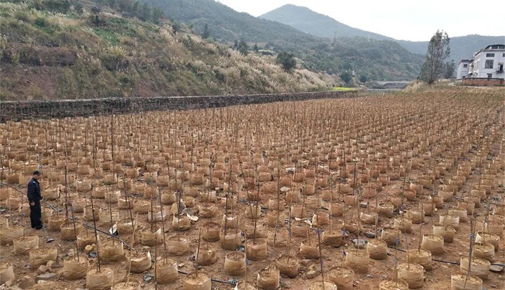 【主题宣传周】推进种养殖项目　探索转型生长之路——一平浪煤矿公司立异理念实现工业转型与增收“共赢”