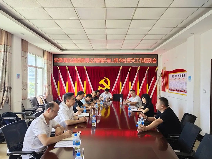 集团党委副书记、、工会主席王鑫一行深入集团墟落振兴挂钩帮扶点寿山镇调研