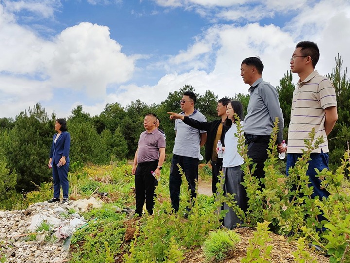 【主题教育】云煤（太阳集团城网站2018）集团专职外部董事寸延峰，，，集团党委委员、、、财务总监莫晓丹到马厂煤矿、、、汉家厂煤矿、、、竹麻地煤矿开展主题教育调研