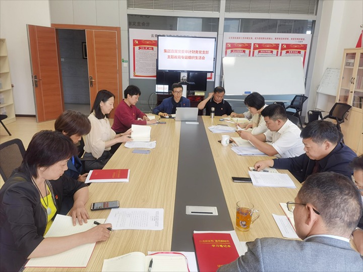 【主题教育】集团直属党委审计财务党支部、、、解化清洁能源公司党委、、、可保煤矿公司党委召开主题教育专题民主（组织）生涯会