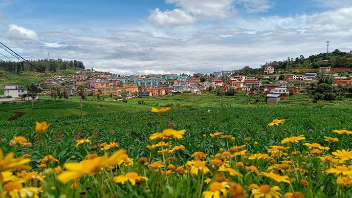 【云煤岁月】笃行不辍营生长，，砥砺奋进谱新篇——平煤故事（一）