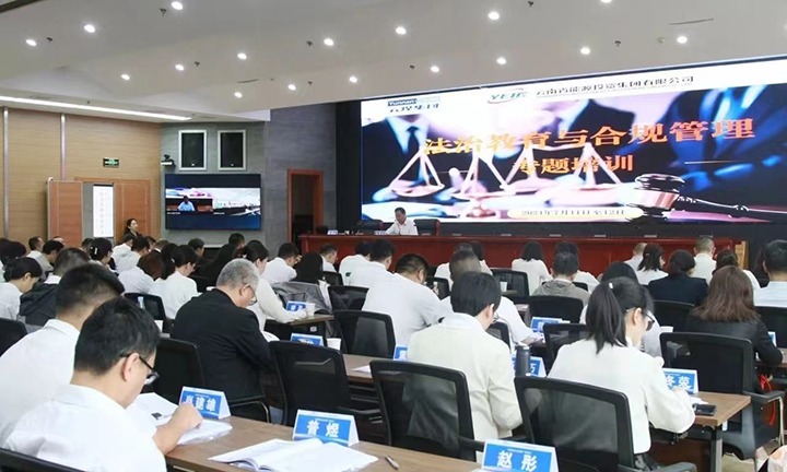 煤炭工业集团、能投集团联合举行2024年度法治教育与合规治理专题培训