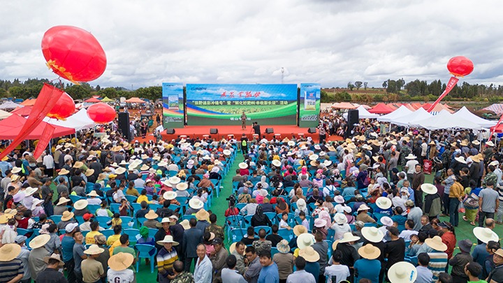 云南解化｜“快递小哥”的三农情怀，，温暖民心促生长