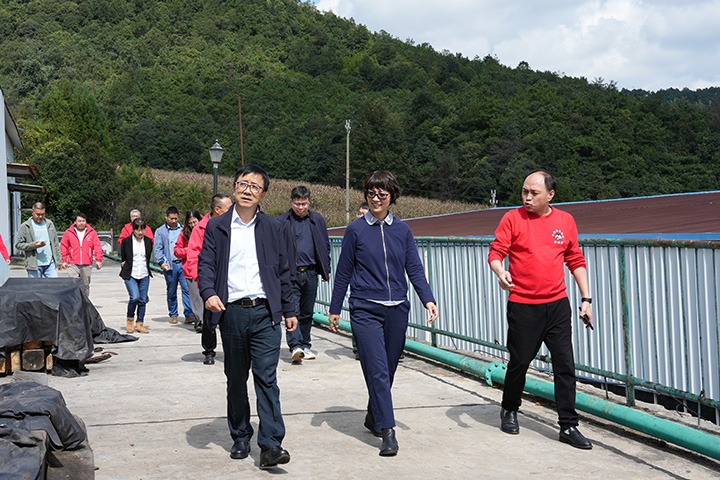 云南省国资委党委委员、、、副主任夏丽坤一行到云煤集团所属恩洪煤业公司开展现场督导调研