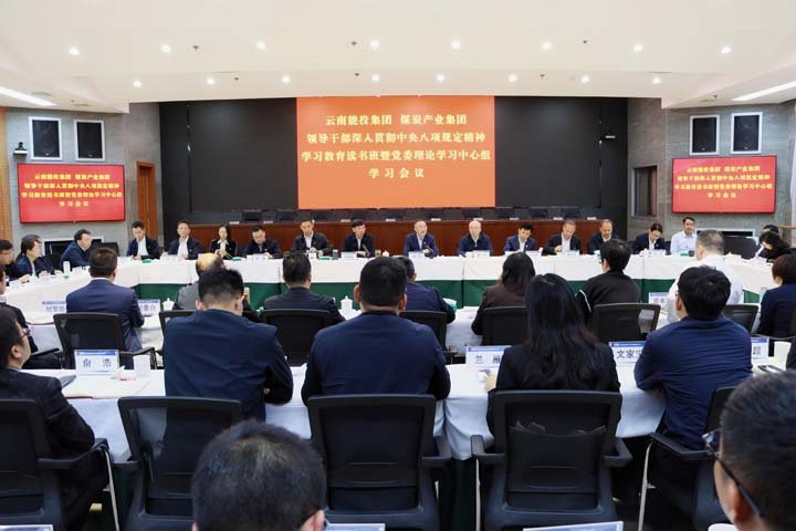 能投集团、、、煤炭工业集团向导干部深入贯彻中央八项划定精神学习教育念书班暨党委理论学习中心组举行集中学习